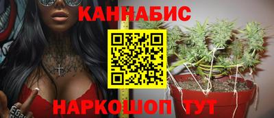 прущие грибы Можайск