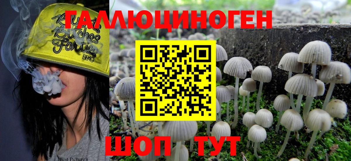Псилоцибиновые грибы прущие грибы  Галлюциногенные грибы GOLDEN TEACHER  Вход с VPN  Щёлково 