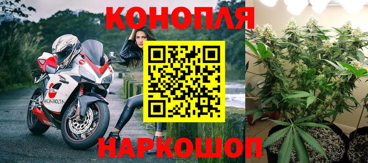 Каннабис SATIVA & INDICA Щёлково
